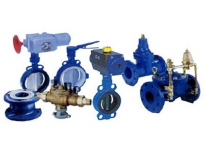 ����˹ϵ��